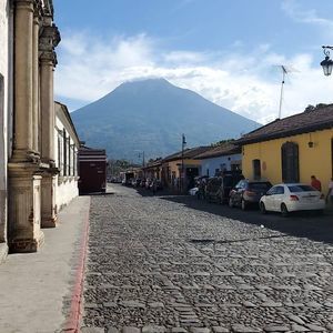 Meet your Posher, Betty